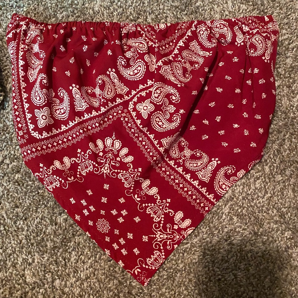 Shein Bandana tube top